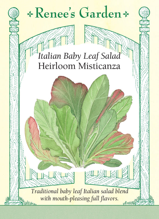 Lettuce Italian Baby Leaf Misticanza
