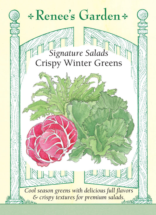 Greens Crispy Winter Salad