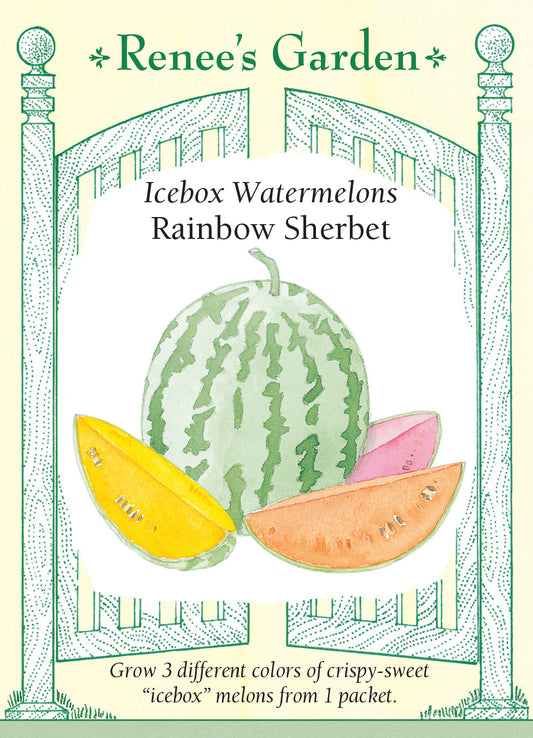 Watrmelon Gaeden Rainbow Sherbet Trio