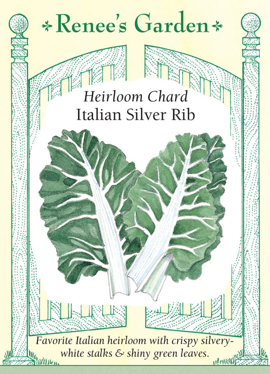 Chard Italian Silver Rib