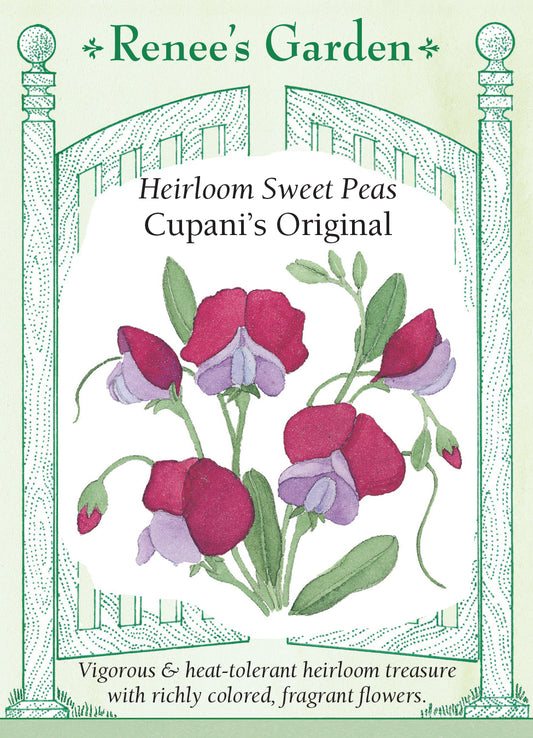 Sweet Pea Cupani's Original