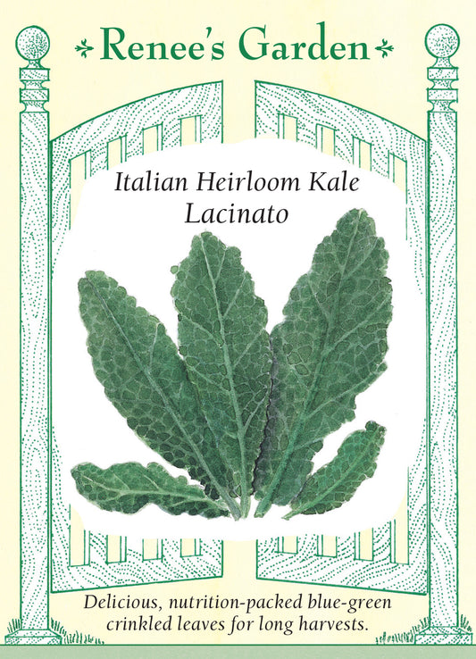 Kale Lacinato