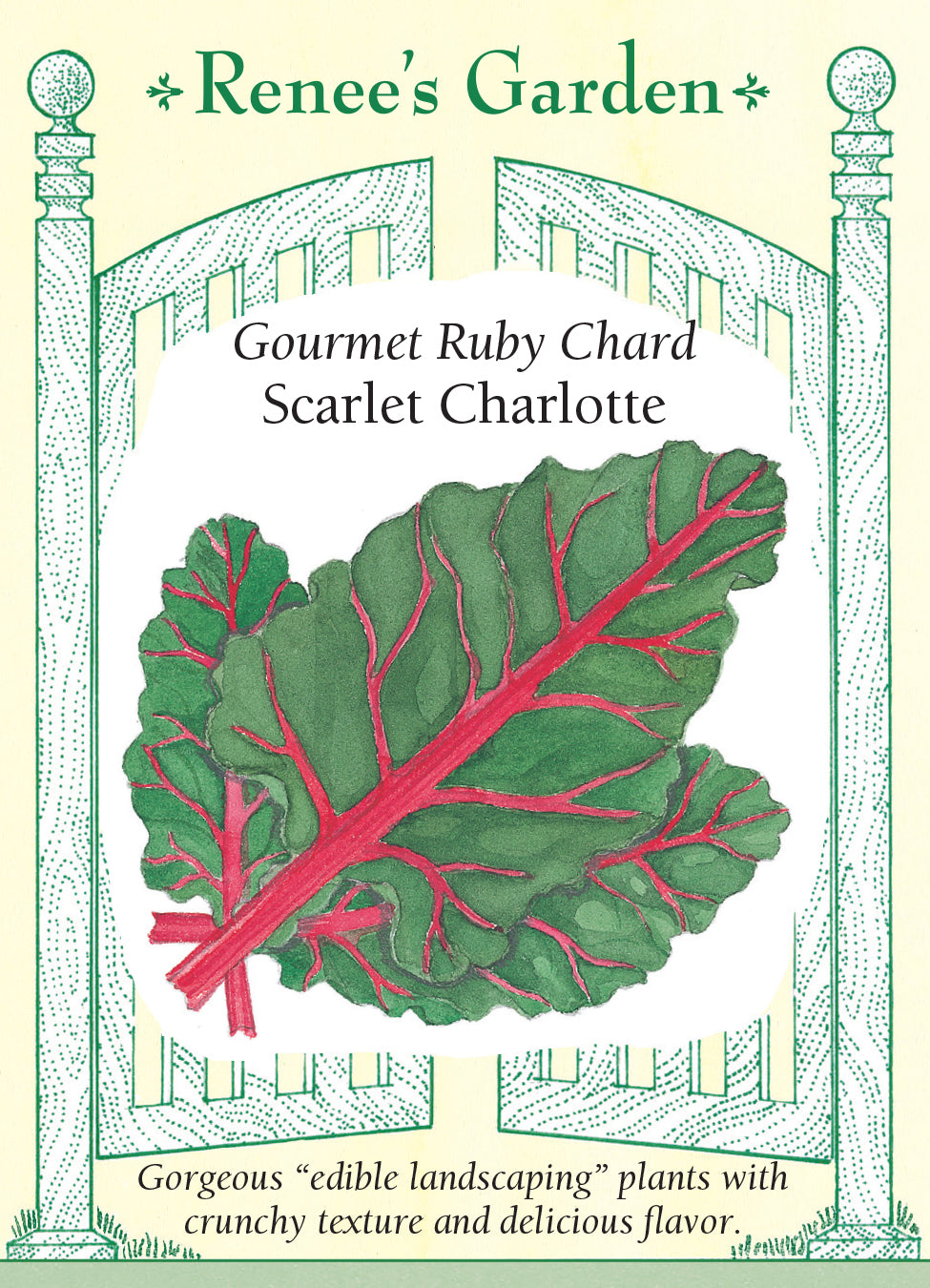 Chard Scarlet Charlotte Red