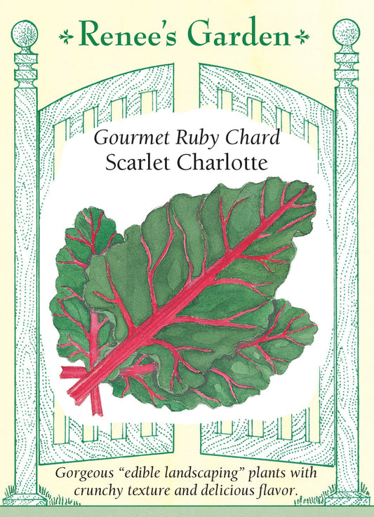 Chard Scarlet Charlotte Red