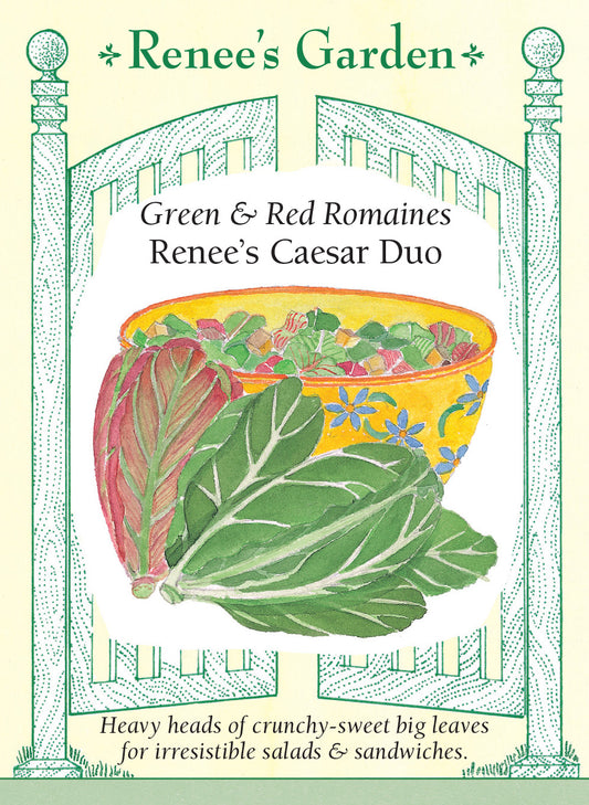Lettuce Ceasar Romaine Duo