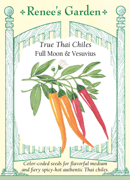 Pepper Chile Thai Duo