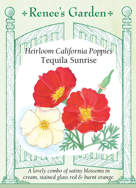 Poppy California Tequila Sunrise