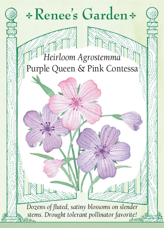 Agrostemma Pink & Purple