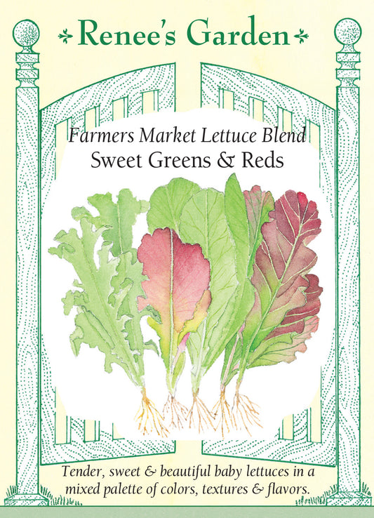 Lettuce Farmer's Market Blend