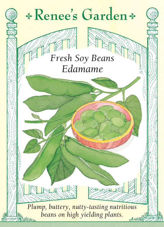 Bean Soy Edamame