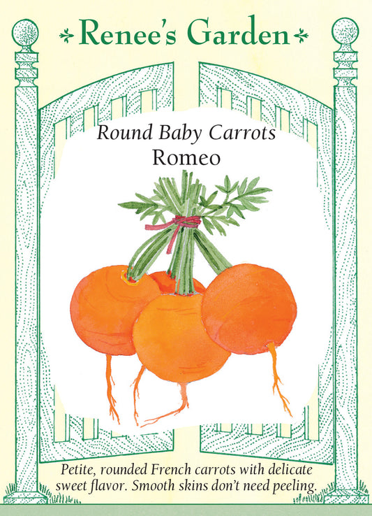 Carrot Baby Round Romeo
