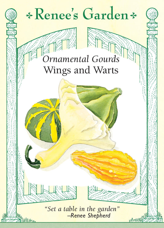 Gourd Wings and Warts Ornamental