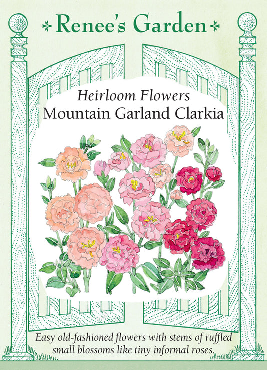 Clarkia Mountain Garland