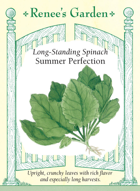 Spinach Summer Perfection