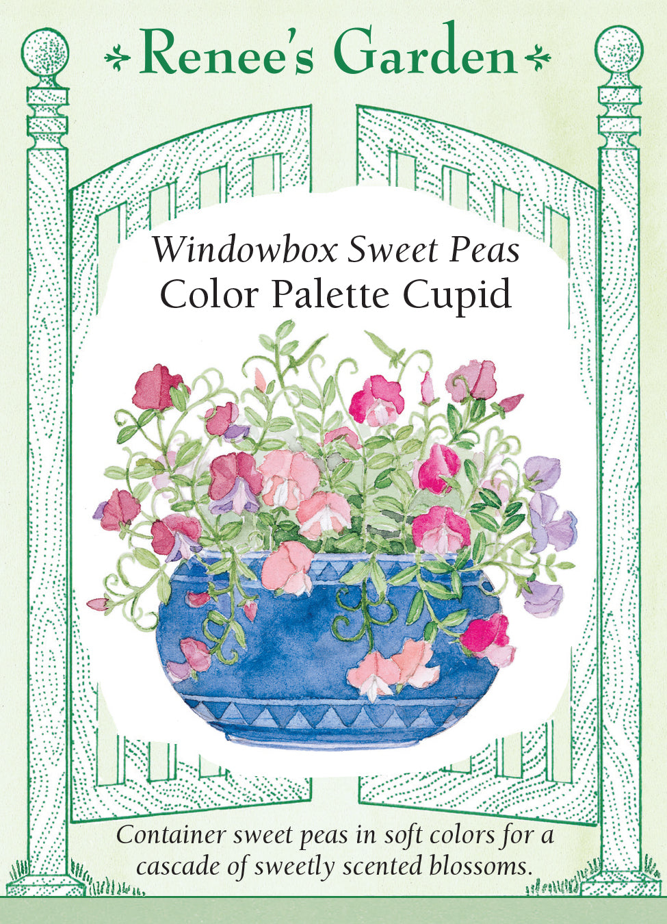 Sweet Pea Color Palette Cupid Windowbox