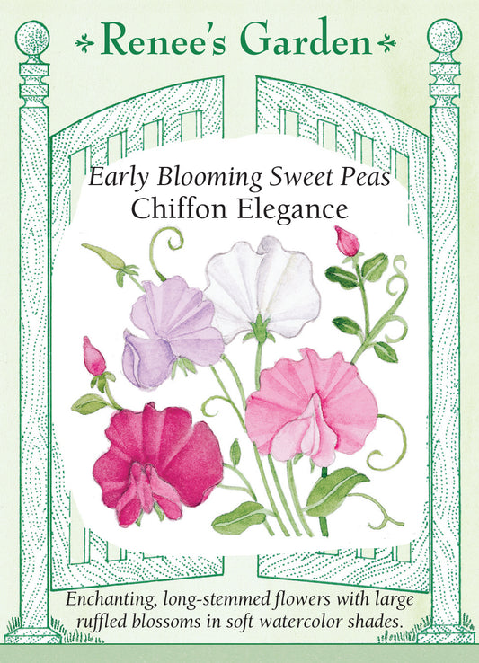 Sweet Pea Chiffon Elegance
