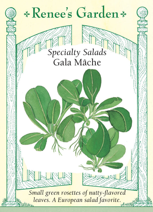 Mache Gala