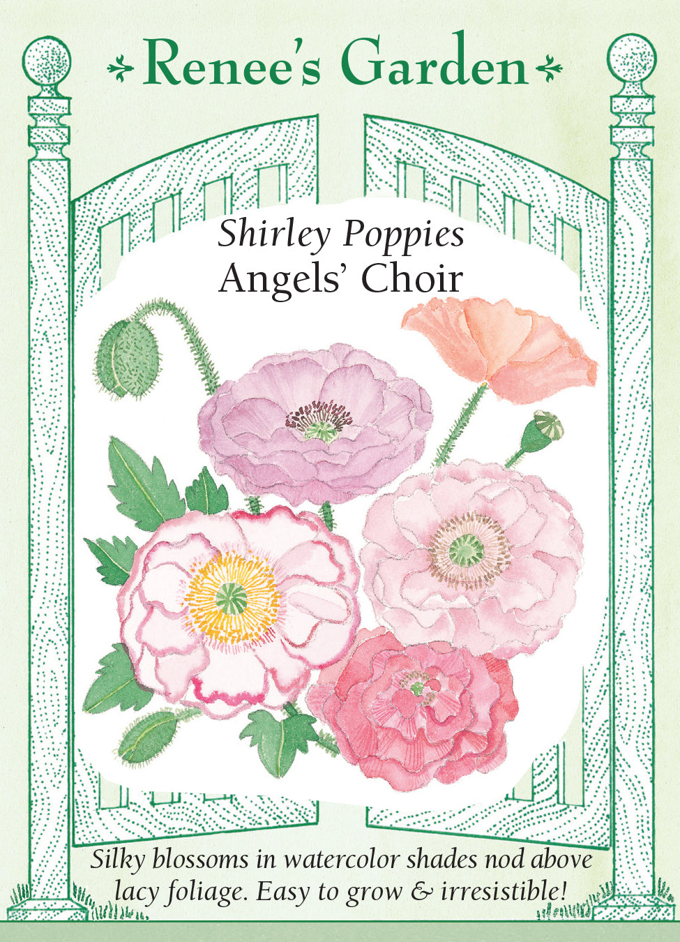 Poppy  Shirley Angel's Choir