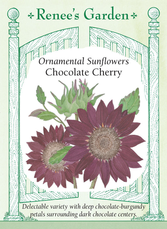 Sunflower Chocolate Cherry