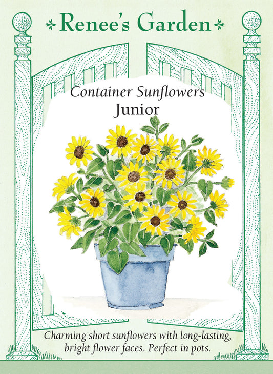 Sunflower  Junior Container