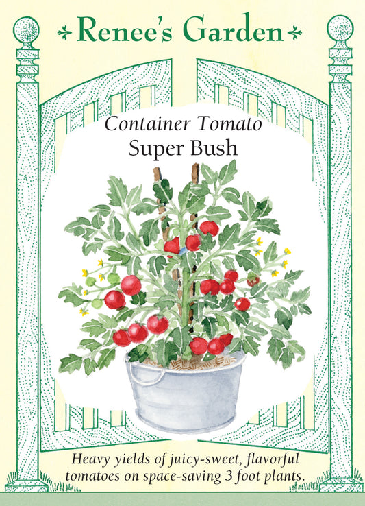 Tomato Super Bush Container