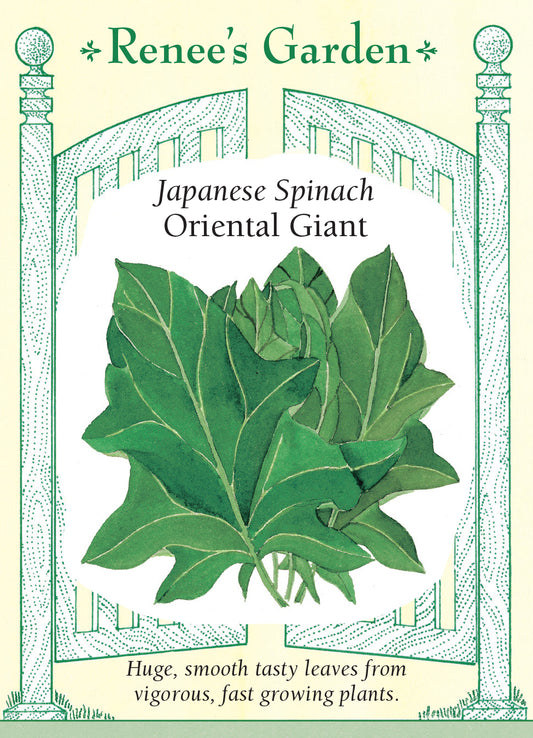 Spinach Oriental Giant