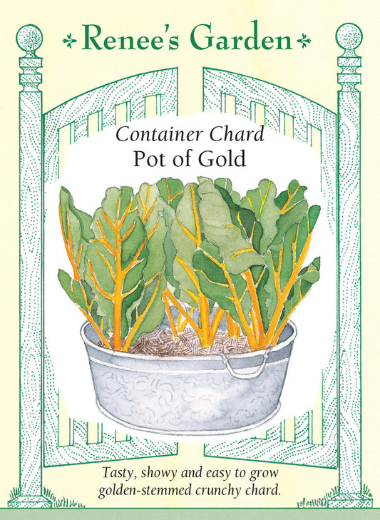 Chard Pot Of Gold