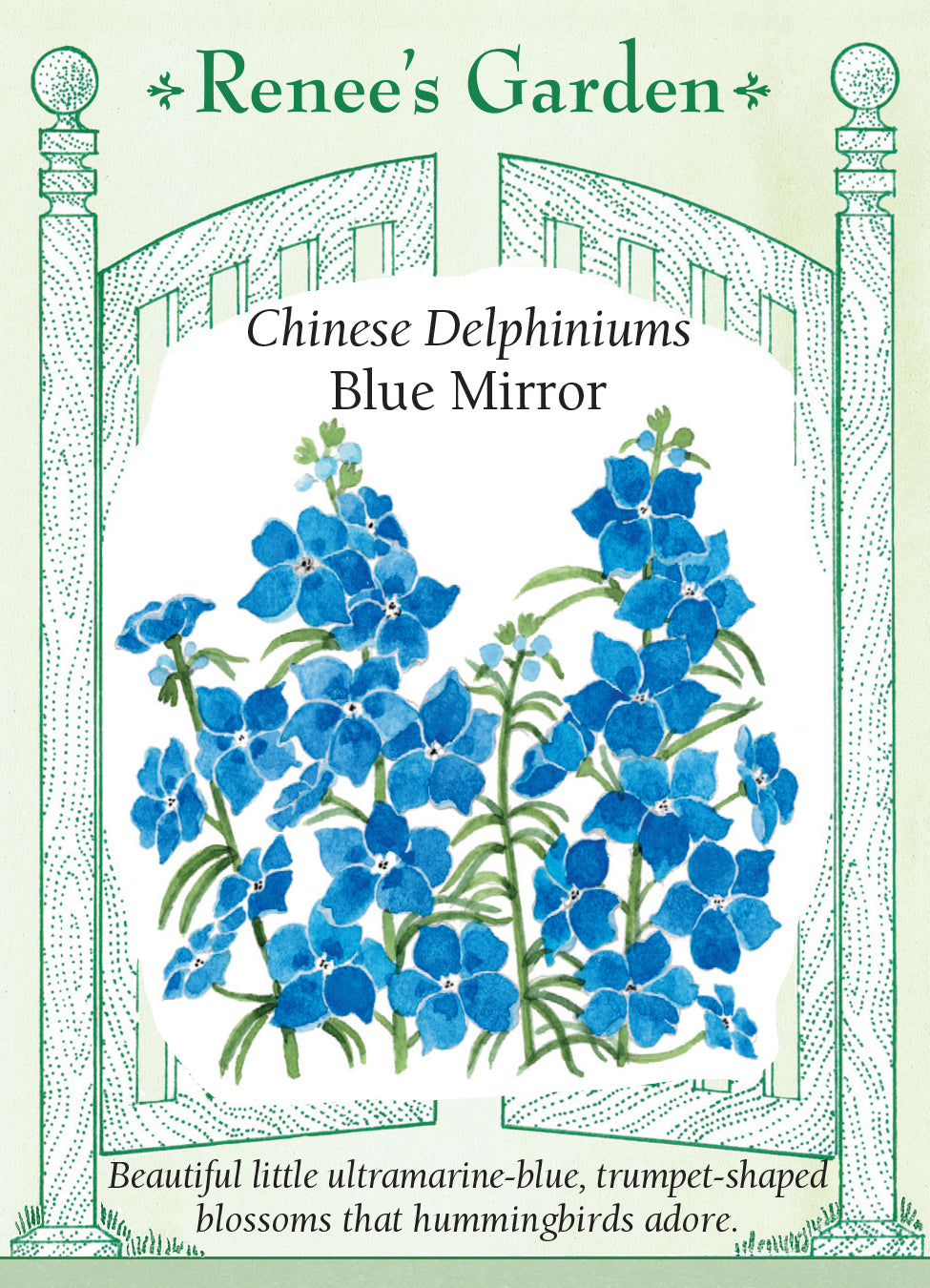 Delphinium Blue Mirror