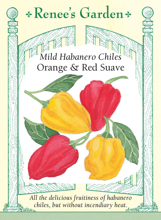 Pepper Chile Habanero Suave Mild