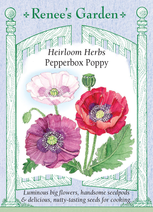 Poppy Pepperbox