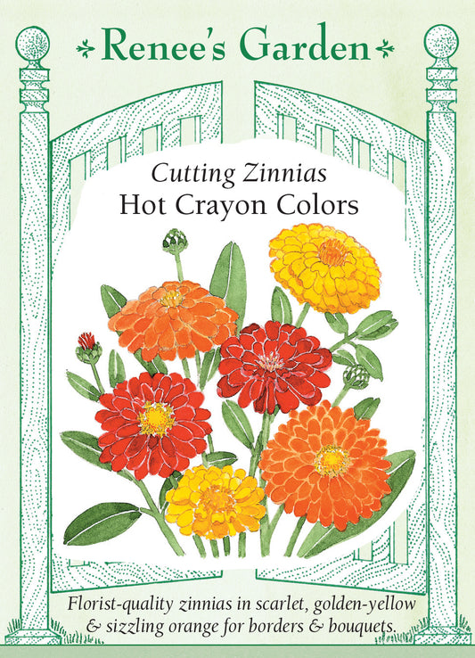 Zinnia Hot Crayon Colors