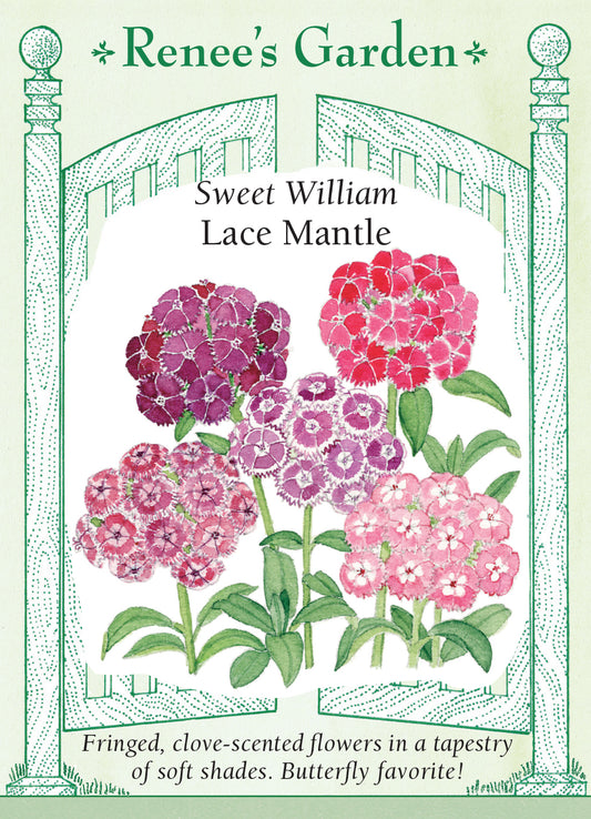 Sweet William Lace Mantle