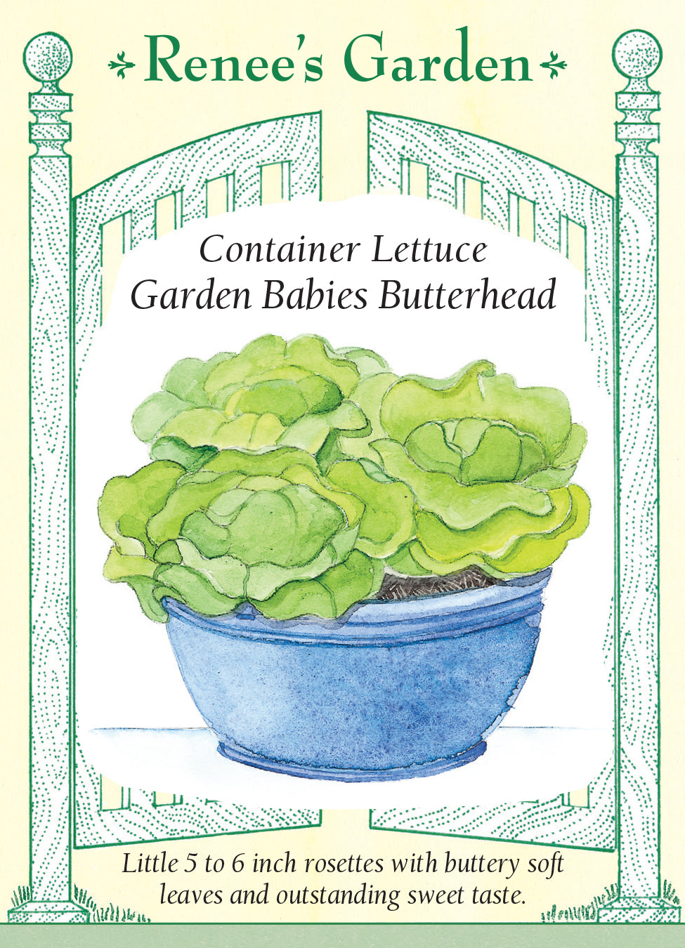 Lettuce Garden Babies Butterhead