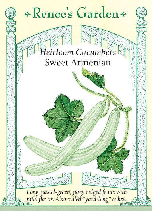 Cucumber Armenian Sweet