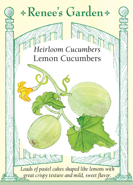 Cucumber Lemon