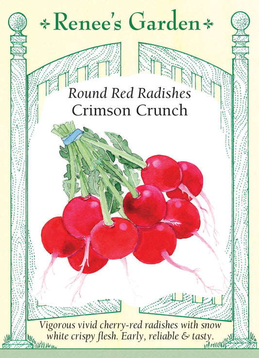 Radish Crimson Crunch