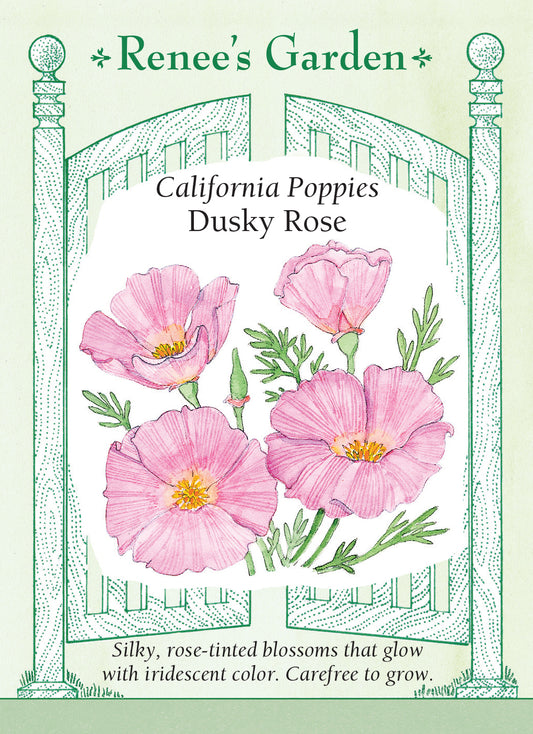 Poppy California Dusky Rose
