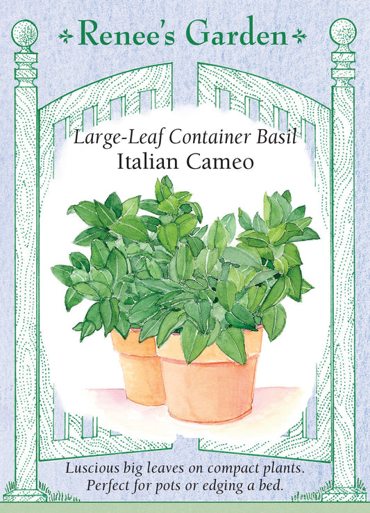 Basil Italian Cameo