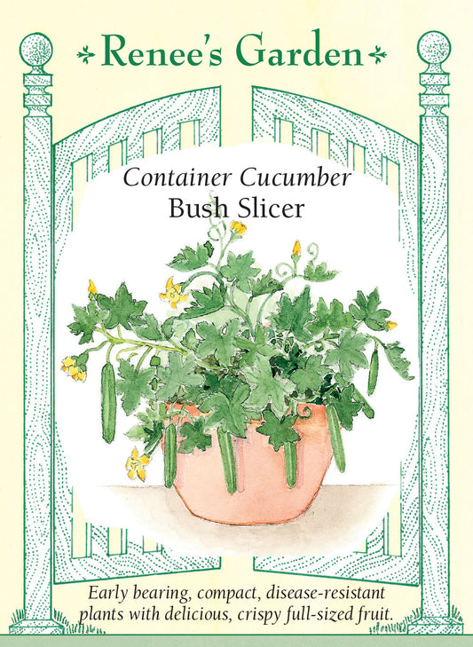 Cucumber Bush Slicer
