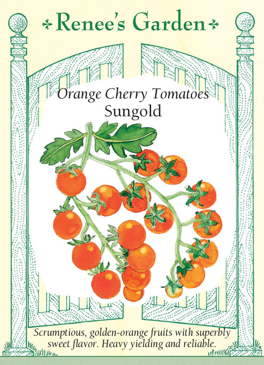Tomato Sungold