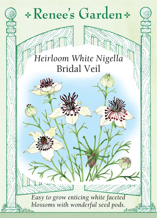 Nigella Bridal Veil White