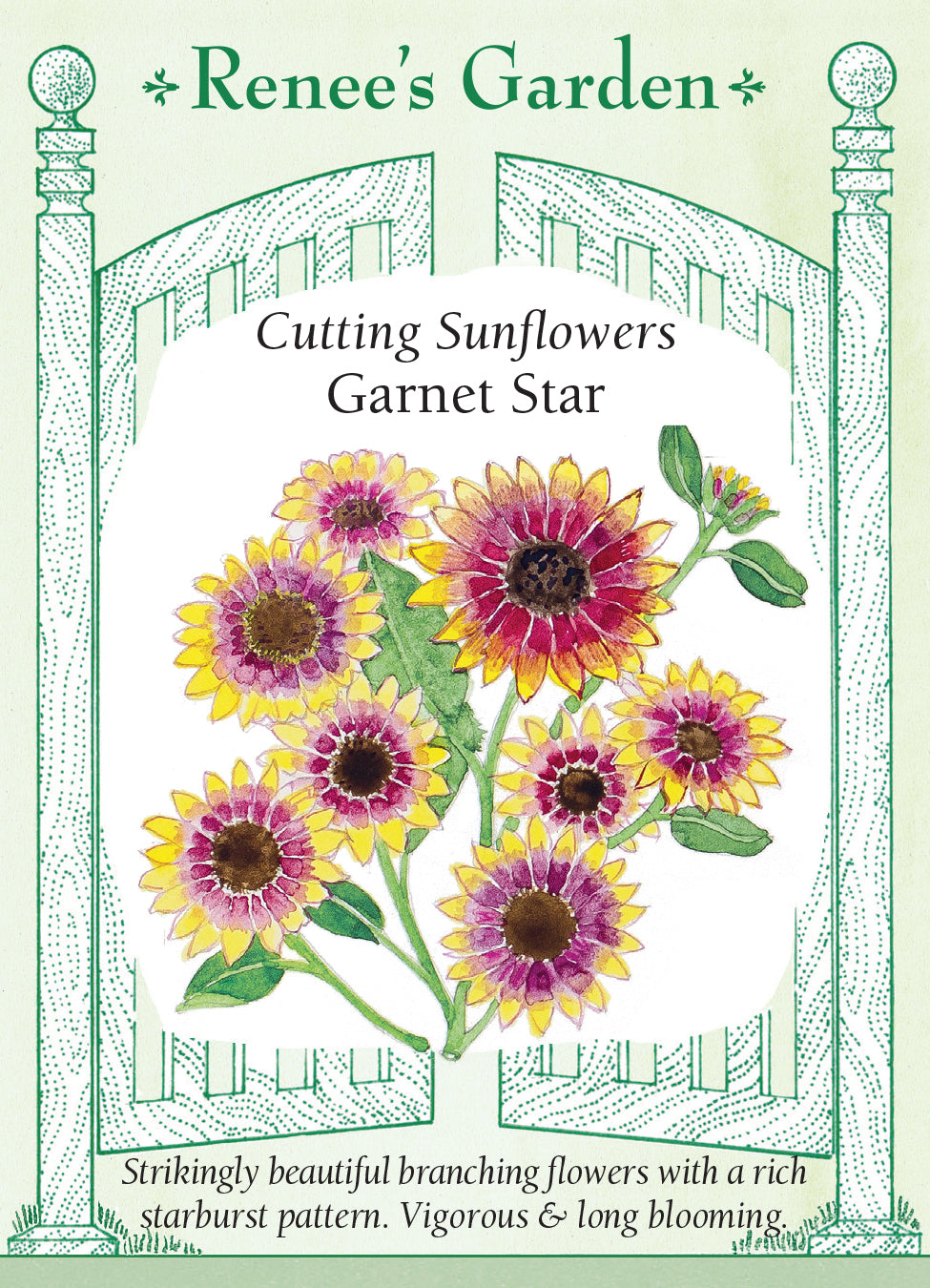 Sunflower Garnet Star