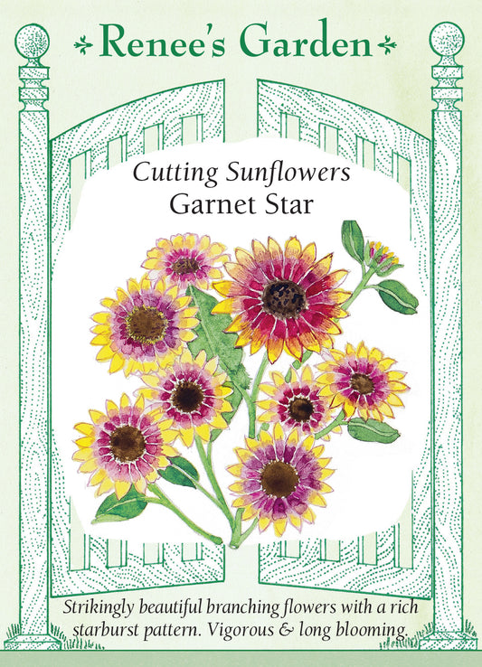 Sunflower Garnet Star