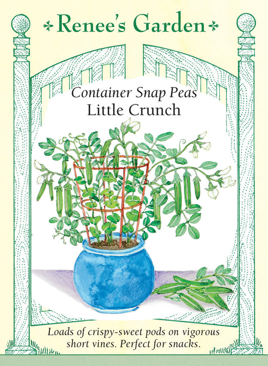 Pea Snap Little Crunch Container