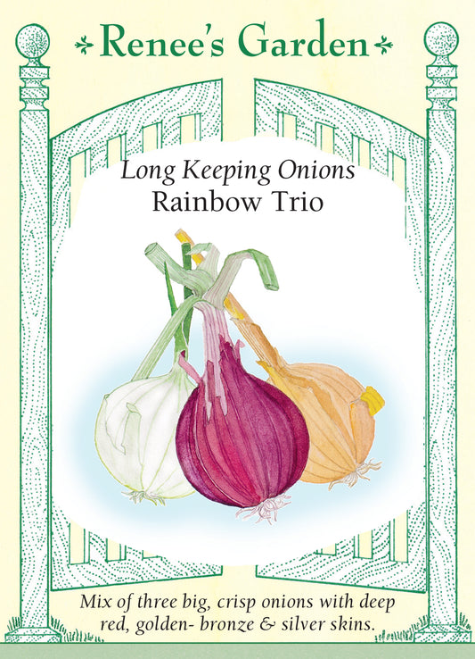 Onion  Rainbow Trio Long Keeping