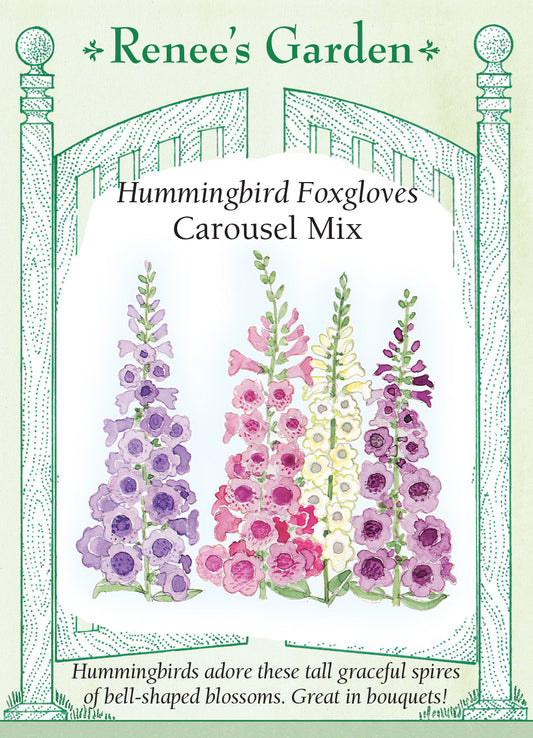 Foxglove Carousel Mix