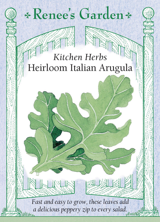Arugula Italian