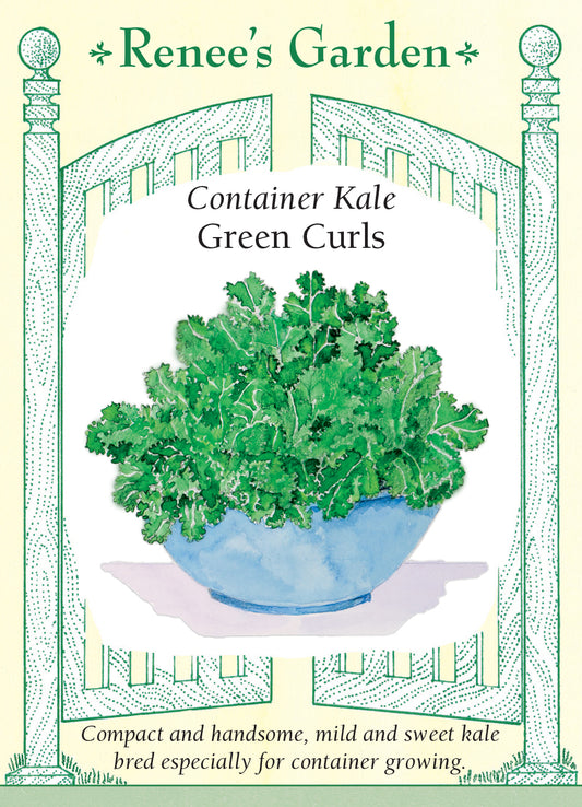 Kale Green Curls Container