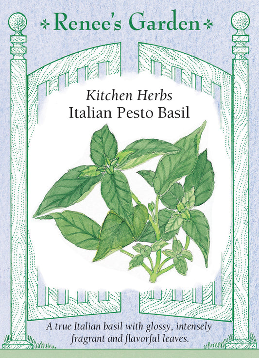 Basil Italian Pesto