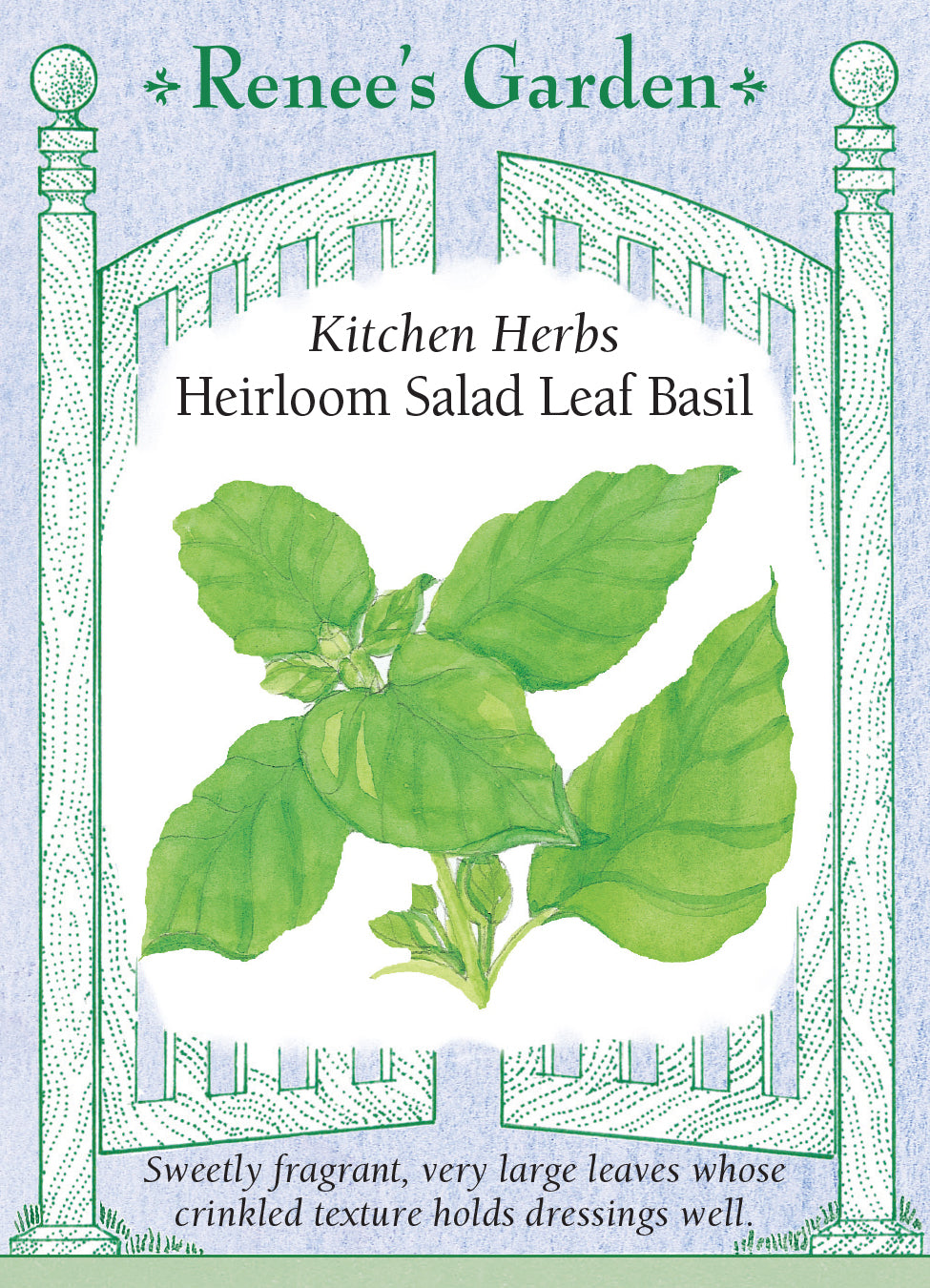 Basil Salad Leaf